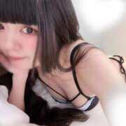 ヒメ日記 2025/07/30 16:02 投稿 ねむ C.C.CATS