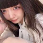 ヒメ日記 2025/08/03 14:42 投稿 ねむ C.C.CATS