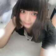 ヒメ日記 2025/08/14 13:22 投稿 ねむ C.C.CATS