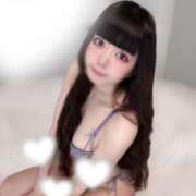 ヒメ日記 2025/08/21 13:02 投稿 ねむ C.C.CATS