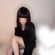 ヒメ日記 2025/09/05 11:02 投稿 ねむ C.C.CATS