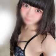 ヒメ日記 2025/09/17 17:21 投稿 ねむ C.C.CATS