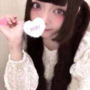 ヒメ日記 2025/09/25 13:41 投稿 ねむ C.C.CATS