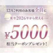 ヒメ日記 2025/11/30 21:42 投稿 ねむ C.C.CATS