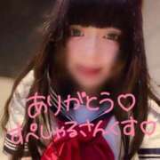 ヒメ日記 2026/06/19 17:22 投稿 ねむ CCキャッツ