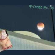 ヒメ日記 2025/09/08 08:46 投稿 志季(しき) Diamond Hearts