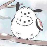 ヒメ日記 2025/04/25 23:03 投稿 ねおん コスパラ