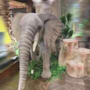 ヒメ日記 2025/12/18 19:17 投稿 みどり しろうとCollection