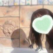 みどり パク盛り しろうとCollection