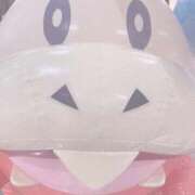 ヒメ日記 2026/02/28 13:37 投稿 みどり しろうとCollection