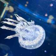 ヒメ日記 2025/10/30 10:48 投稿 雪音はつね 水戸ソープ アイドル彼女