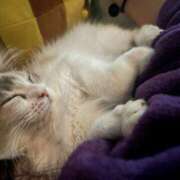 ヒメ日記 2025/11/04 00:47 投稿 雪音はつね 水戸ソープ アイドル彼女