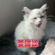 ヒメ日記 2026/01/04 14:30 投稿 雪音はつね 水戸ソープ アイドル彼女