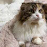 ヒメ日記 2026/01/06 18:37 投稿 雪音はつね 水戸ソープ アイドル彼女