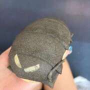 ヒメ日記 2026/02/08 20:03 投稿 雪音はつね 水戸ソープ アイドル彼女