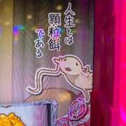 ヒメ日記 2026/09/11 09:31 投稿 雪音はつね 水戸ソープ アイドル彼女