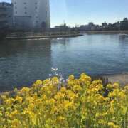 ヒメ日記 2025/04/05 09:16 投稿 吉岡すみれ【即完売嬢甘い接吻】 Club Rosa