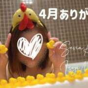 ヒメ日記 2025/04/30 22:33 投稿 相沢せな 五十路マダム 沼津店(カサブランカグループ)