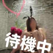 ヒメ日記 2025/05/10 13:43 投稿 相沢せな 五十路マダム 沼津店(カサブランカグループ)