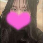 アヤメ あつまれあやめのもり~ SCREEN(スクリーン)