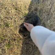 はづき「はづき」 最終日のお礼 ピュアセレクラブ