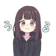 ヒメ日記 2025/11/11 08:48 投稿 シュナ クラブA