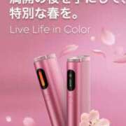 ヒメ日記 2025/04/10 12:04 投稿 あんじゅ 大高・大府市・東海市ちゃんこ