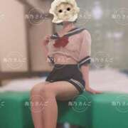 ヒメ日記 2025/08/09 12:05 投稿 【海乃 さんご】 梅田ムチSpa女学院