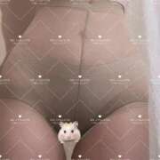 ヒメ日記 2026/05/17 17:04 投稿 【海乃 さんご】 梅田ムチSpa女学院
