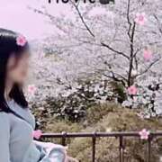 ヒメ日記 2025/04/16 17:02 投稿 紅音　シエラ アムアージュ