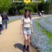 ヒメ日記 2025/04/30 21:42 投稿 紅音　シエラ アムアージュ