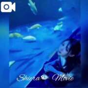 ヒメ日記 2025/05/06 17:22 投稿 紅音　シエラ アムアージュ