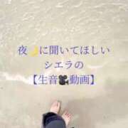 ヒメ日記 2025/05/22 23:33 投稿 紅音　シエラ アムアージュ