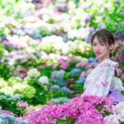 ヒメ日記 2025/06/23 06:12 投稿 紅音　シエラ アムアージュ