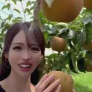 ヒメ日記 2025/08/23 16:42 投稿 紅音　シエラ アムアージュ