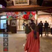 ヒメ日記 2025/11/19 18:22 投稿 紅音　シエラ アムアージュ