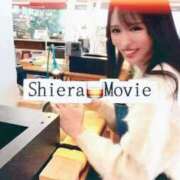 ヒメ日記 2025/12/23 07:13 投稿 紅音　シエラ アムアージュ