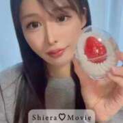 ヒメ日記 2026/01/08 06:02 投稿 紅音　シエラ アムアージュ