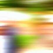 紅音　シエラ 【🎥803】立派な… アムアージュ