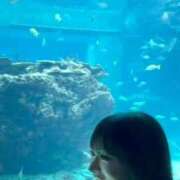 ヒメ日記 2026/01/30 22:32 投稿 紅音　シエラ アムアージュ