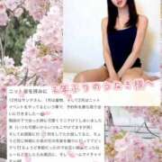 ヒメ日記 2026/03/24 19:02 投稿 紅音　シエラ アムアージュ