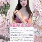 ヒメ日記 2026/03/24 22:52 投稿 紅音　シエラ アムアージュ