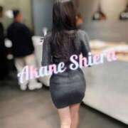 ヒメ日記 2026/04/19 22:02 投稿 紅音　シエラ アムアージュ