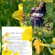 ヒメ日記 2026/05/13 00:22 投稿 紅音　シエラ アムアージュ