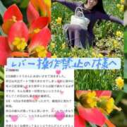 ヒメ日記 2026/05/16 02:32 投稿 紅音　シエラ アムアージュ