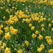 ヒメ日記 2026/05/20 10:02 投稿 紅音　シエラ アムアージュ