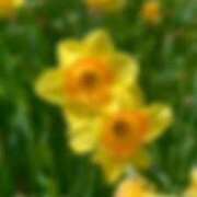 ヒメ日記 2026/05/20 17:22 投稿 紅音　シエラ アムアージュ
