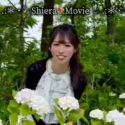 ヒメ日記 2026/06/19 06:02 投稿 紅音　シエラ アムアージュ
