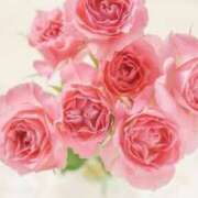 ヒメ日記 2025/04/18 19:02 投稿 新人・真白(ましろ) グランドオペラ福岡