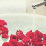 ヒメ日記 2025/04/19 13:01 投稿 新人・真白(ましろ) グランドオペラ福岡